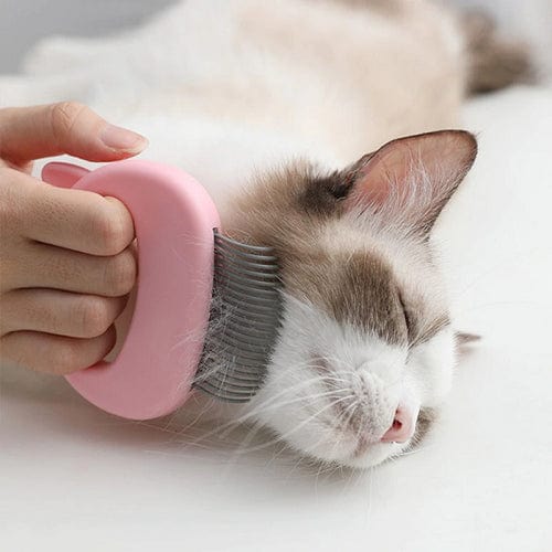 Pet Massager & Deshedding Shell Comb