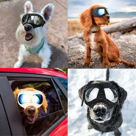 Dog Goggles Large & Small Breed
